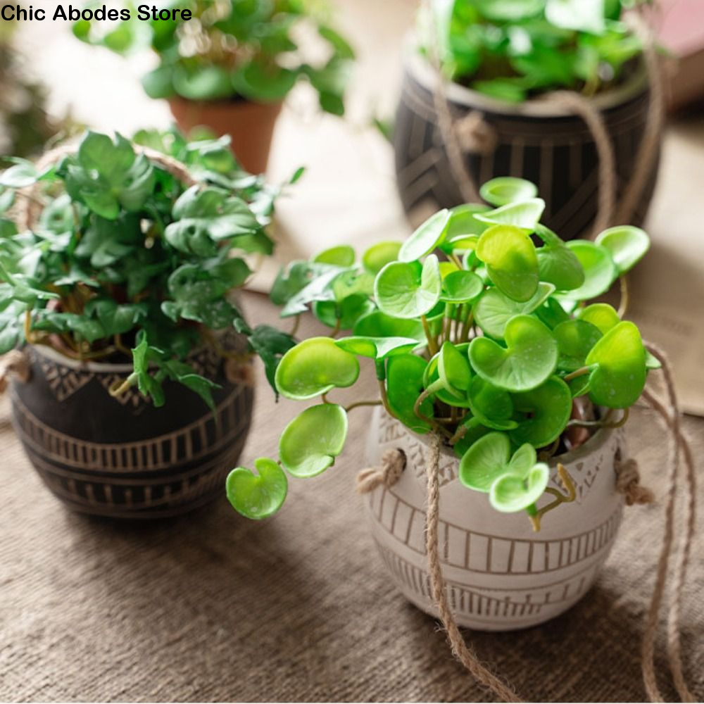 Bonsai Garden Shop - Green Garden Home Shop for Window