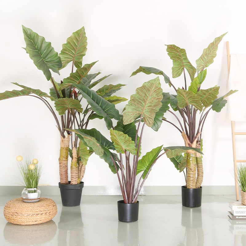 Bonsai Garden Shop - New simulated rainbow taro green plant