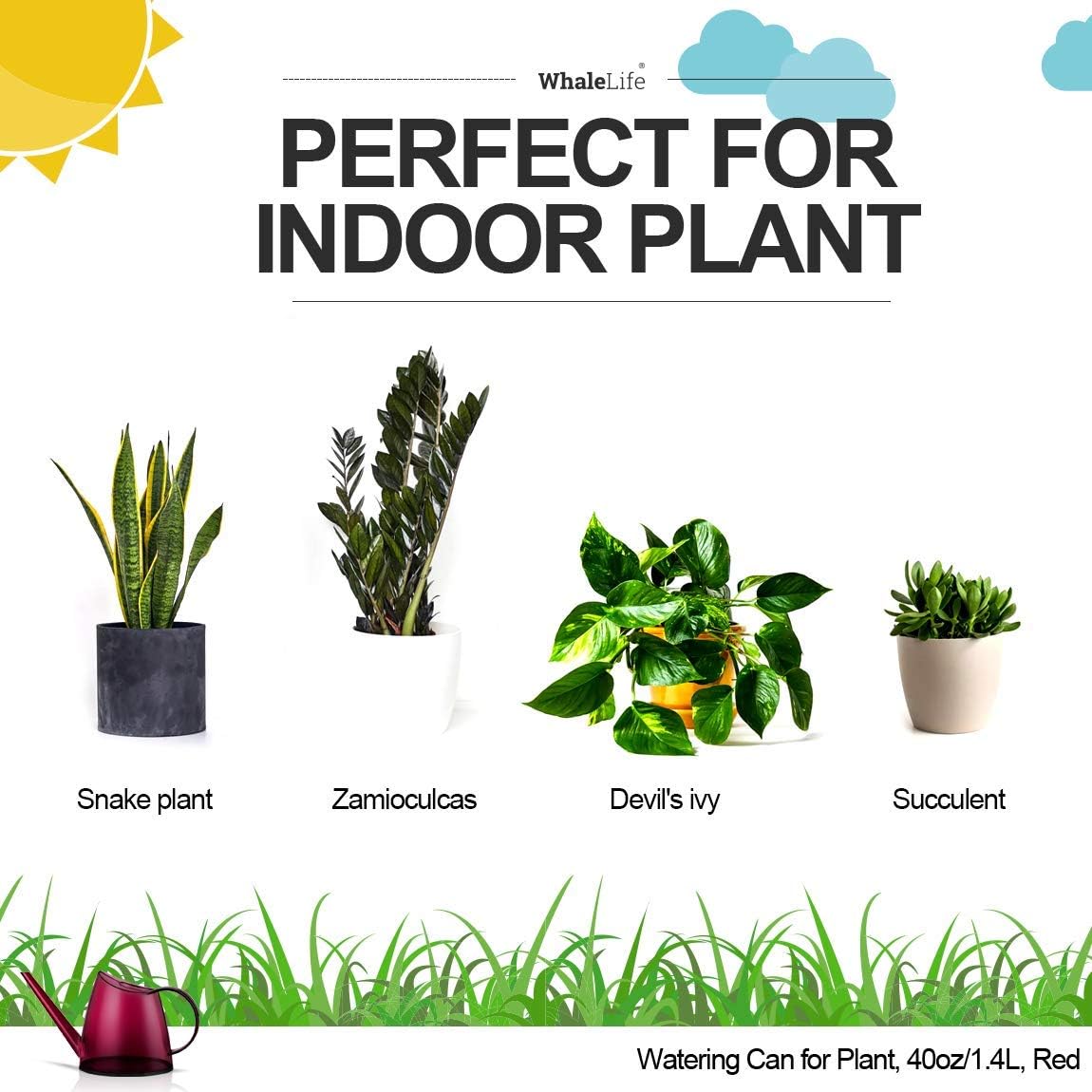 Indoor Watering Can for House  - Bonsai Garden Images ulasan dan harga