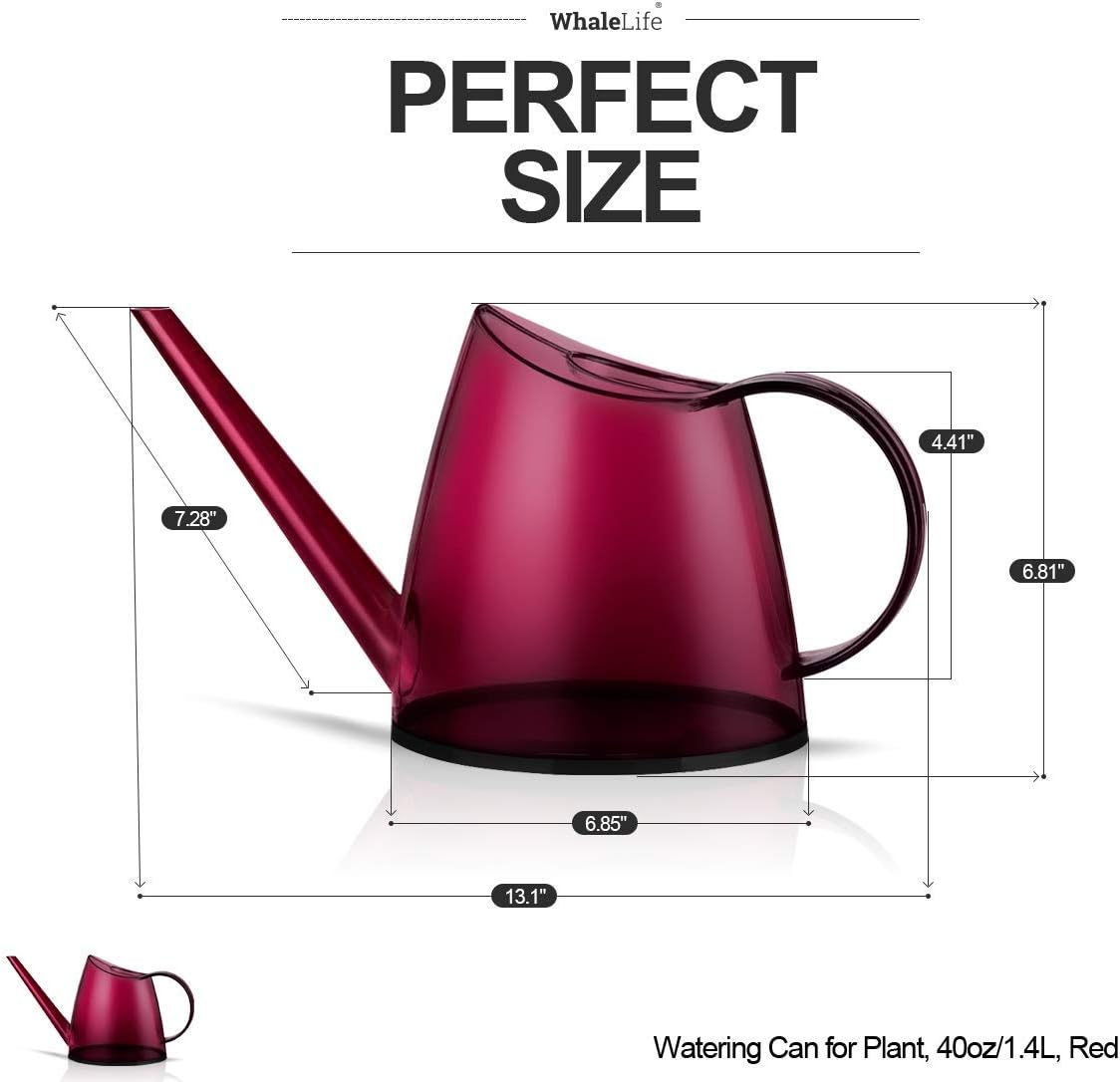 Indoor Watering Can for House  - Bonsai Garden Images ulasan dan harga