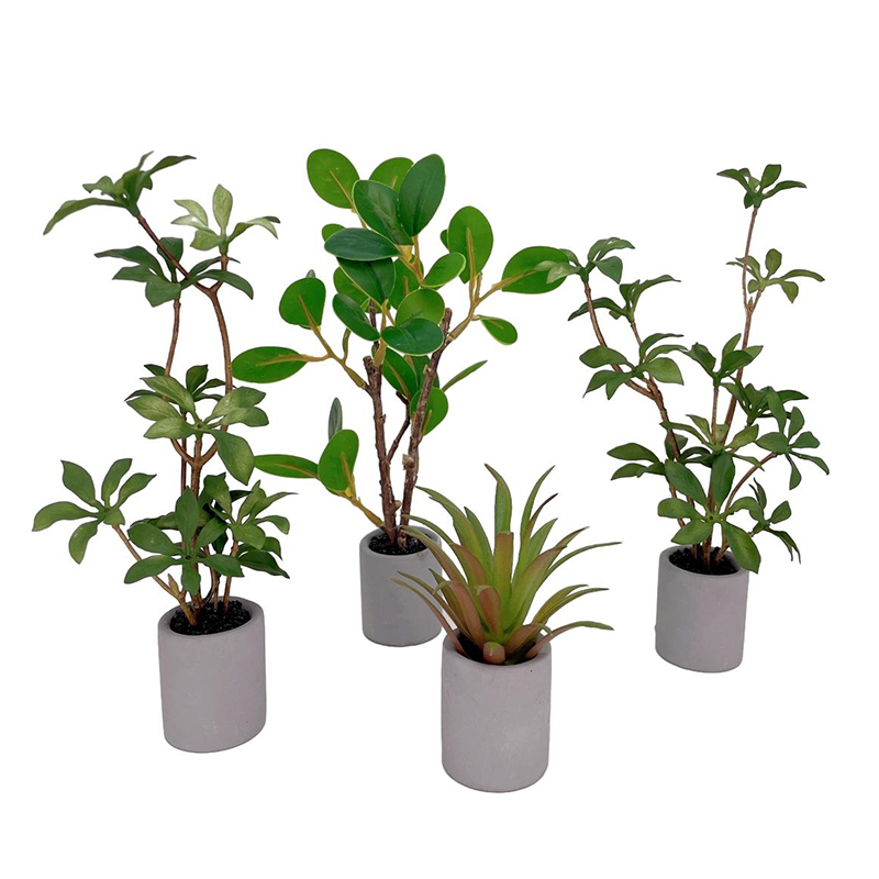 1:6 Dollhouse Miniature Potted - Bonsai Garden Miniature ulasan dan harga