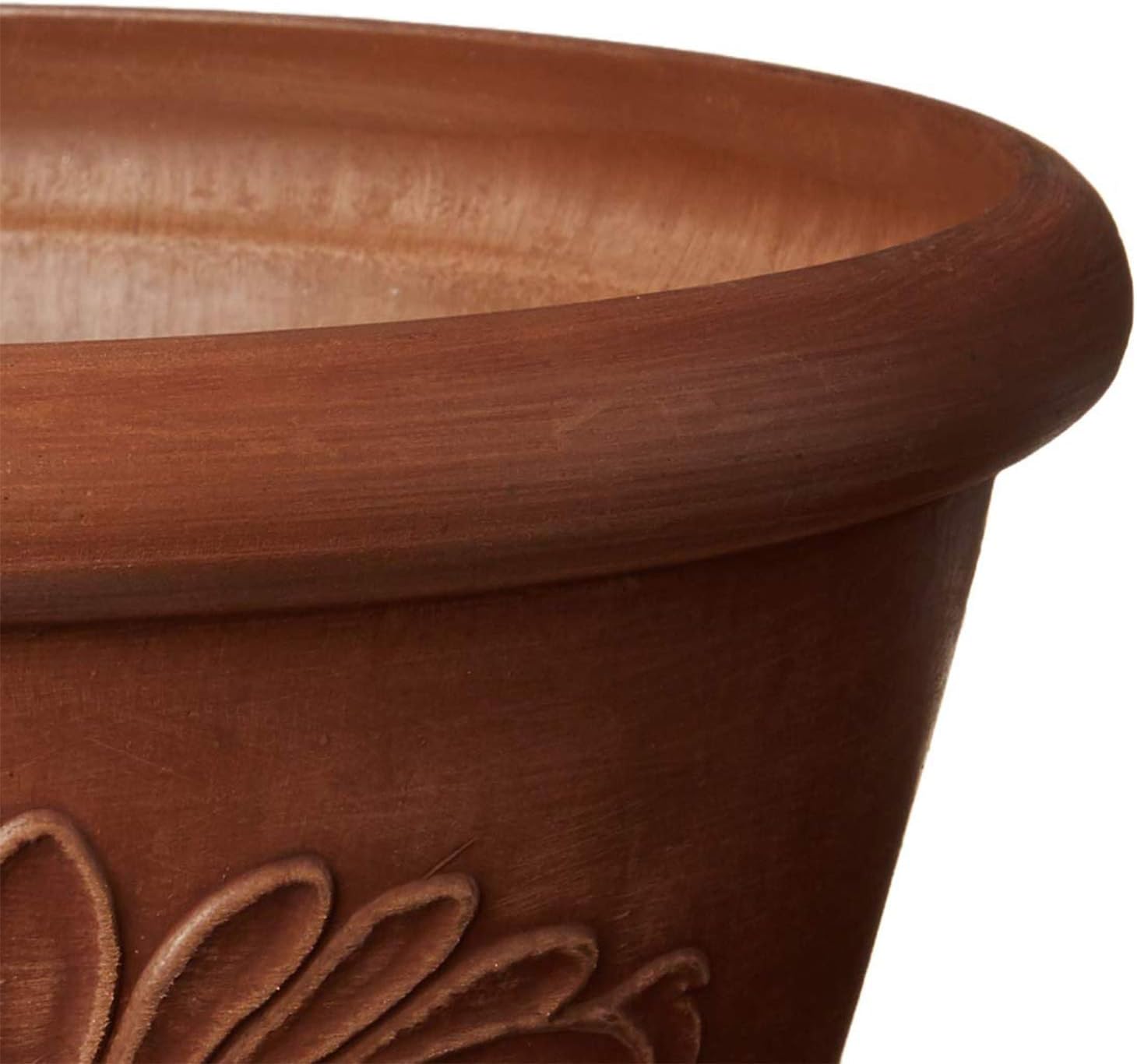 10-Inch Drillable Planter Bowl - Bonsai Garden Images ulasan dan harga
