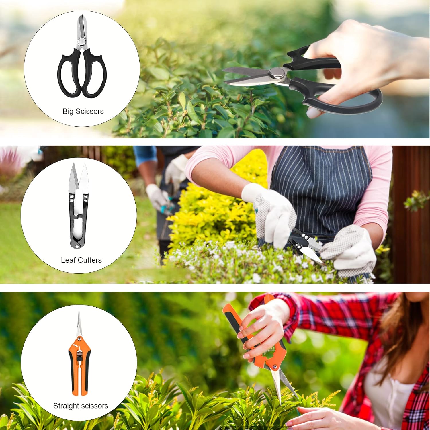 20-Piece Bonsai Tool Kit with  - Bonsai Garden Images ulasan dan harga