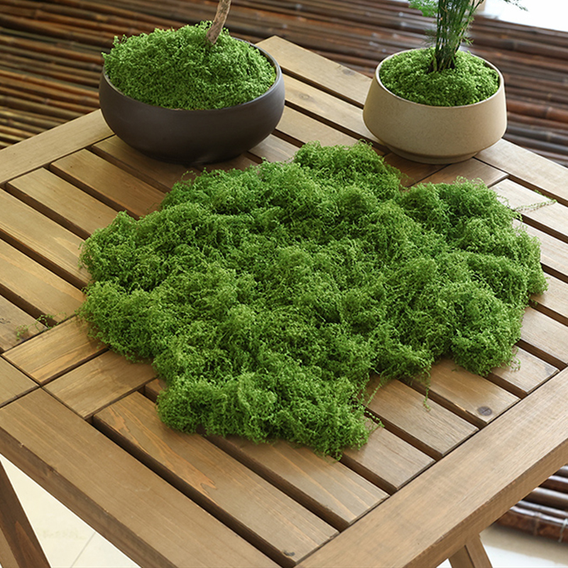 about 20g Artificial Green Pla - Bonsai Garden Decor ulasan dan harga