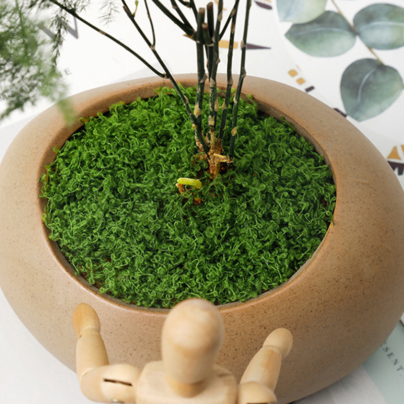 about 20g Artificial Green Pla - Bonsai Garden Decor ulasan dan harga