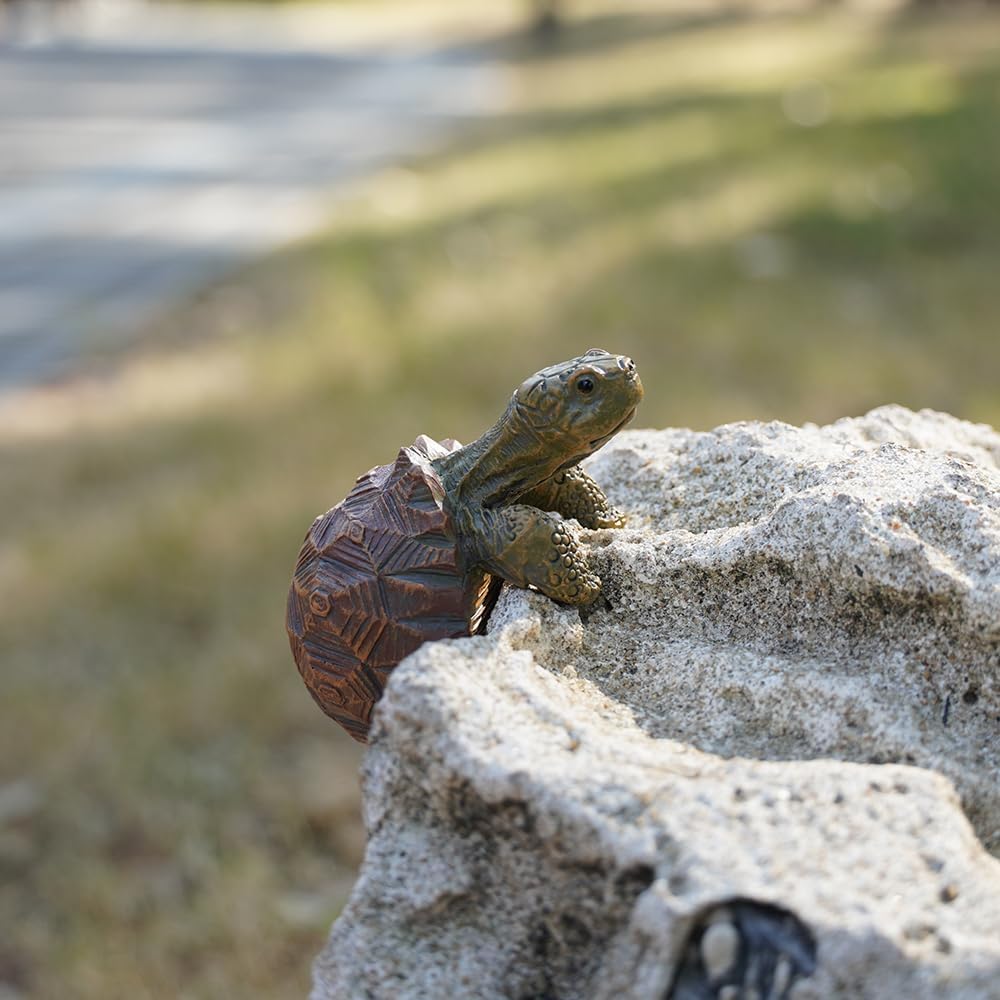 Mini Turtle Statue, Realistic  - Bonsai Garden Images ulasan dan harga