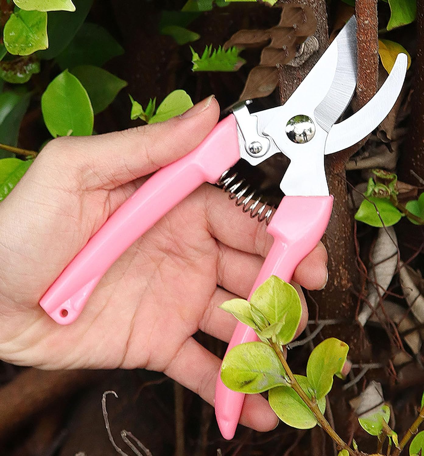 Pruning Shears 6.9 Inches Heav - Bonsai Garden Images ulasan dan harga