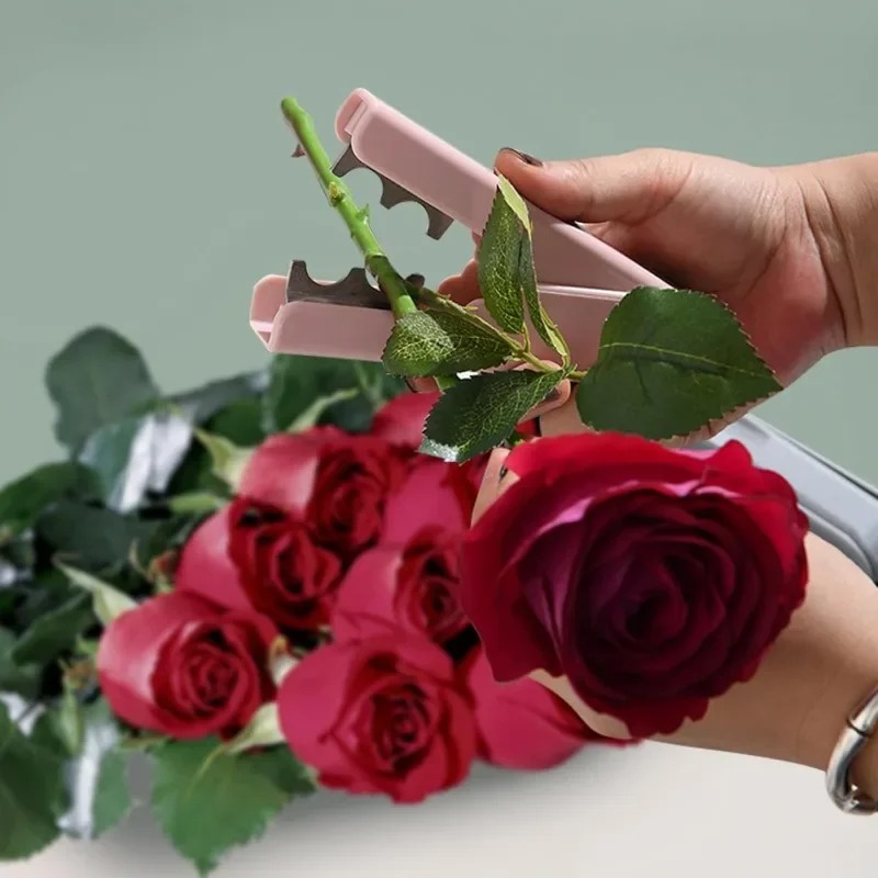 Rose Thorn Remover, Flower Tho - Bonsai Garden Shop ulasan dan harga