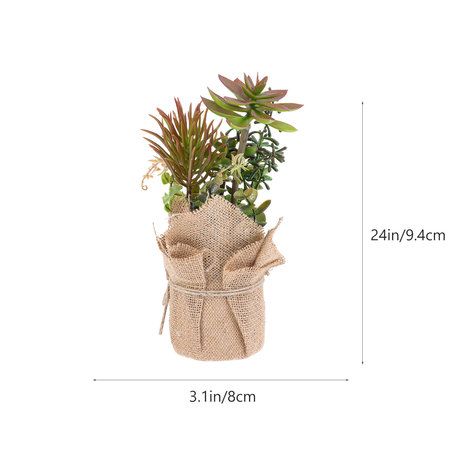 Premium Plastic Artificial Suc - Bonsai Garden Shop ulasan dan harga