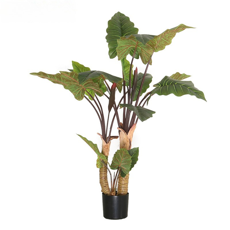 New simulated rainbow taro gre - Bonsai Garden Shop ulasan dan harga
