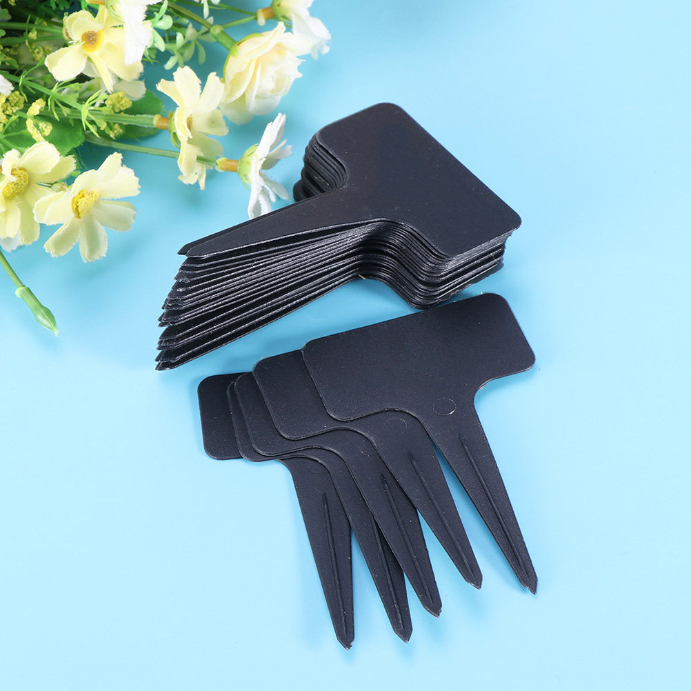 200Pcs T Shaped Plastic Plant  - Bonsai Garden Shop ulasan dan harga