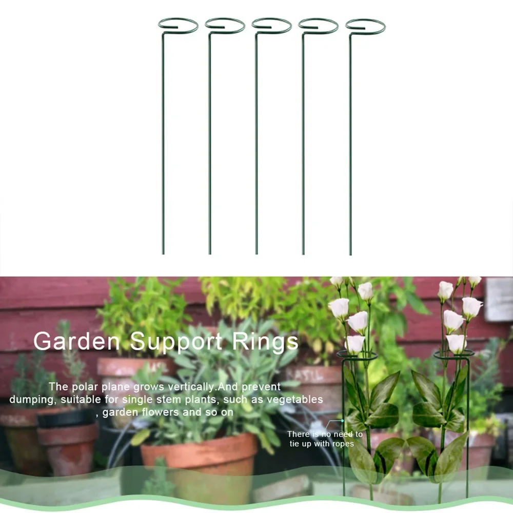 Metal Long Backyard Bonsai Sin - Bonsai Garden Backyard ulasan dan harga