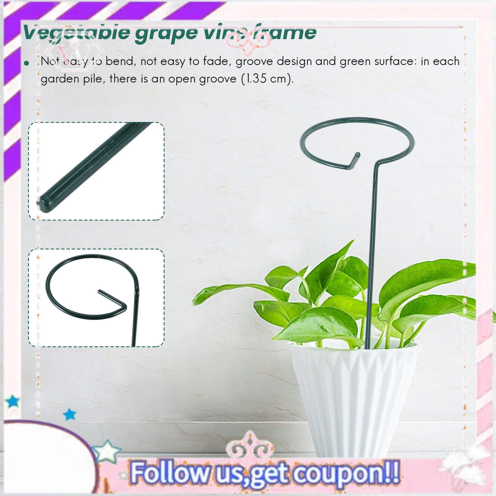 Premium 8PCS Beautiful Plant S - Bonsai Garden Backyard ulasan dan harga