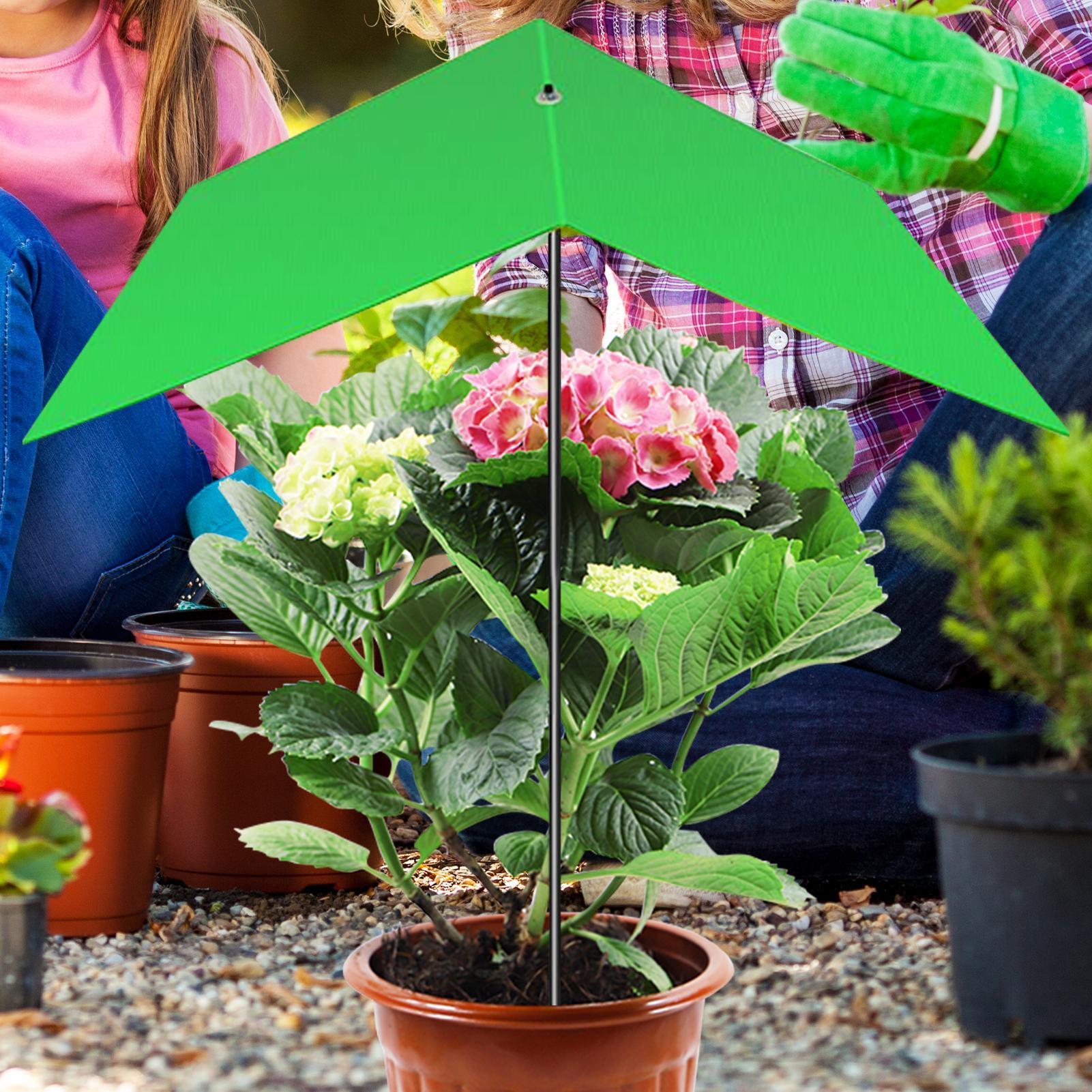 Shades For Outdoor Plants Anti - Bonsai Garden Backyard ulasan dan harga