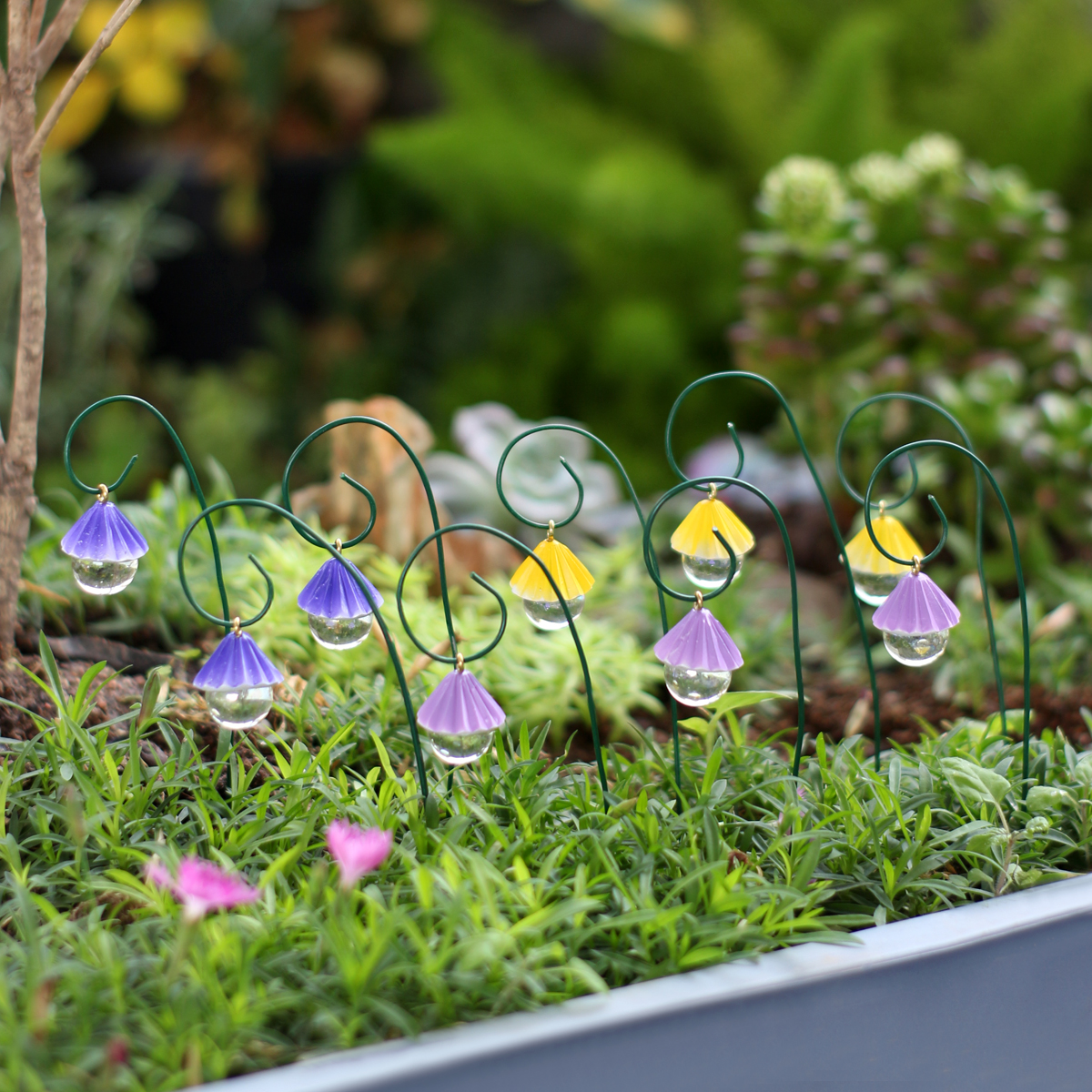 9 fan-shaped water droplet han - Bonsai Garden Decor ulasan dan harga