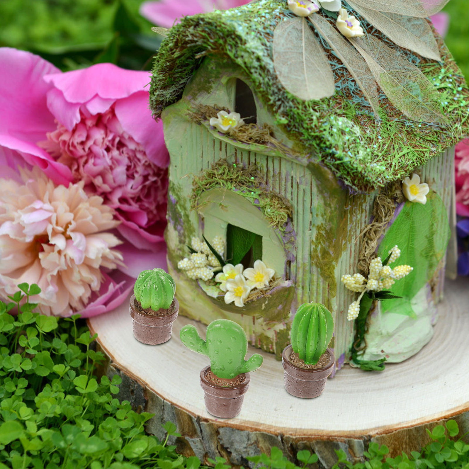 6Pcs Resin Cactus Ornament Set - Bonsai Garden Backyard ulasan dan harga