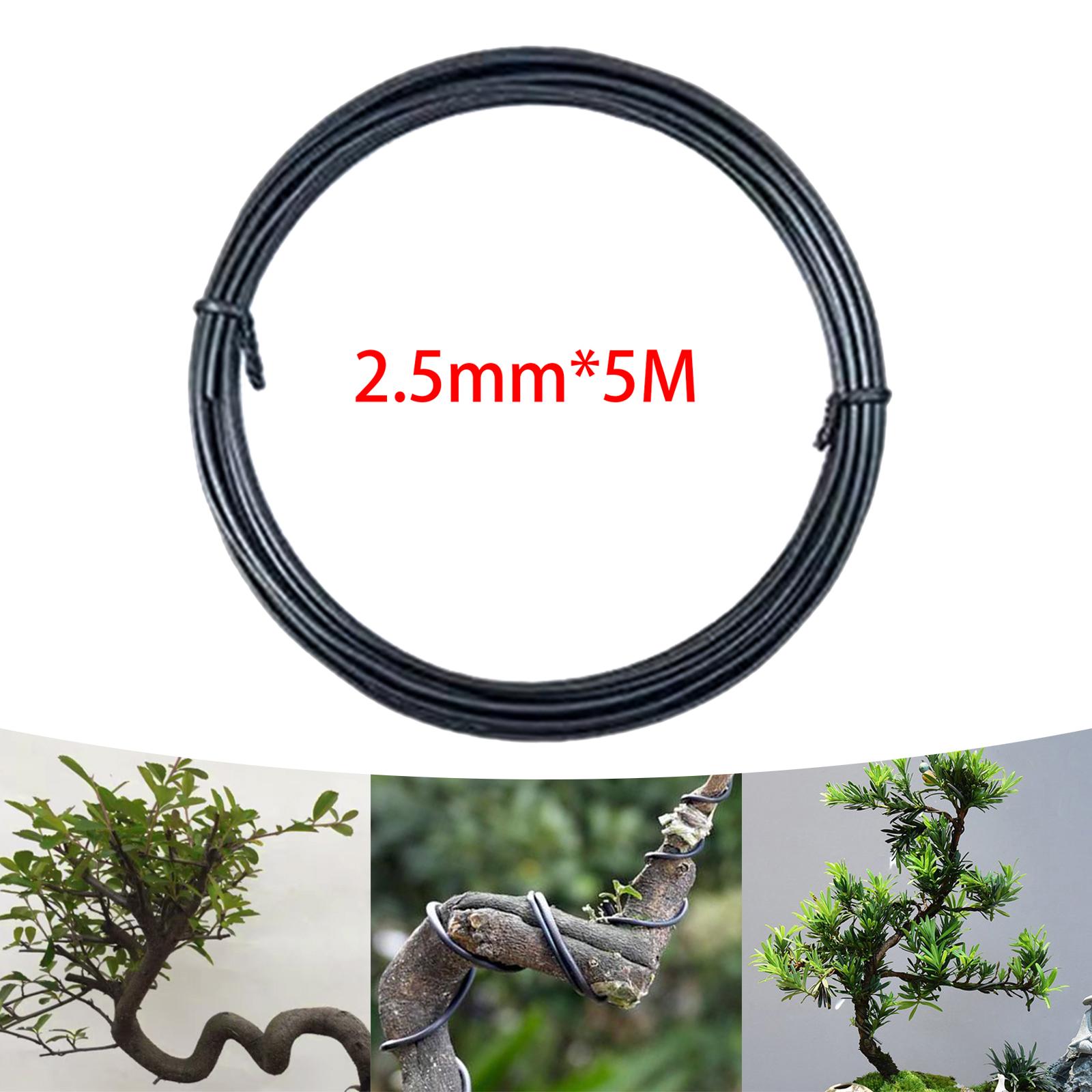 Bonsai Training Wire Branch Pu - Bonsai Garden Backyard ulasan dan harga