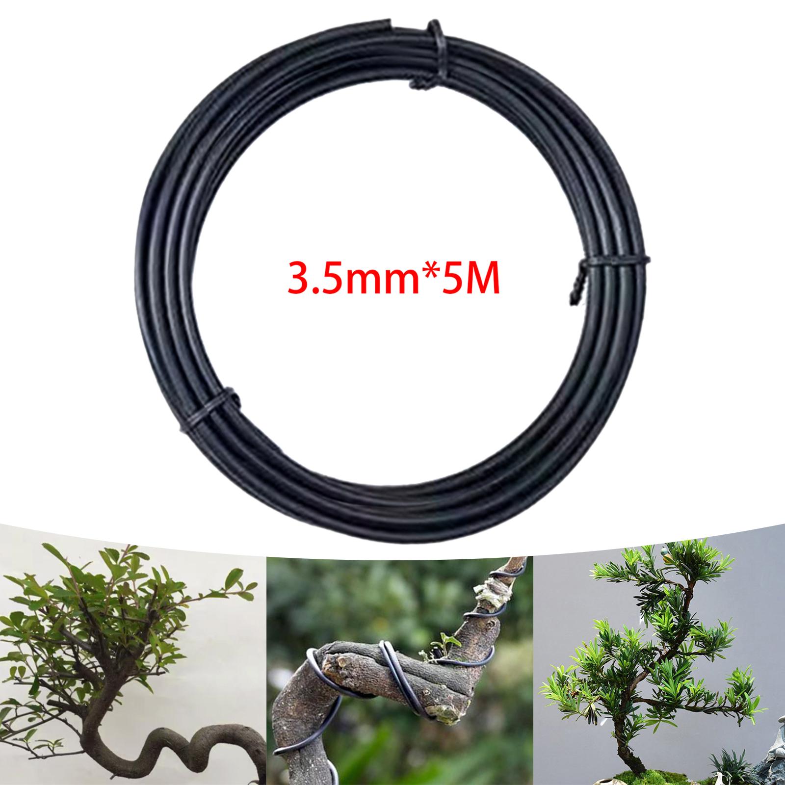 Bonsai Training Wire Branch Pu - Bonsai Garden Backyard ulasan dan harga