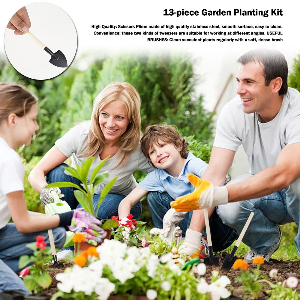 Succulent Plants Tools Mini Ga - Bonsai Garden Miniature ulasan dan harga