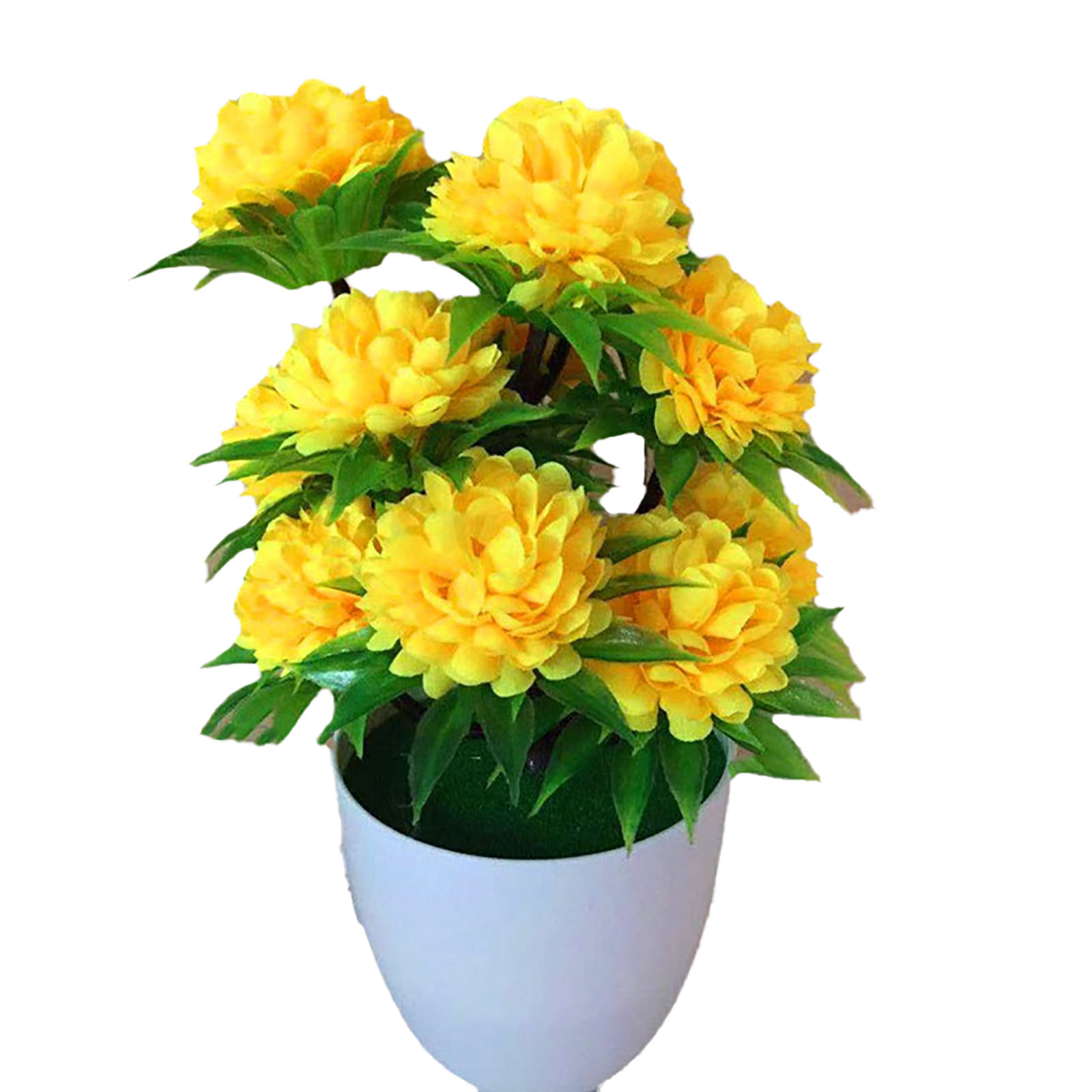 Beautiful Decoration Stylish A - Bonsai Garden Shop ulasan dan harga